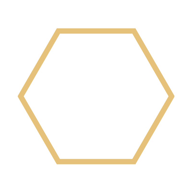 arculattt (1)